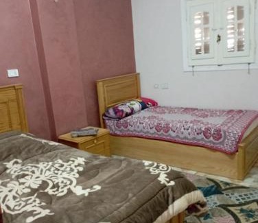 Siwa Apartment | فندق الفيتوري