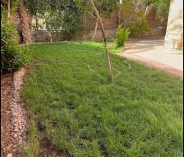 Al Mamsha El Seyahi Villa | فيلا مبارك ستة الغردقة