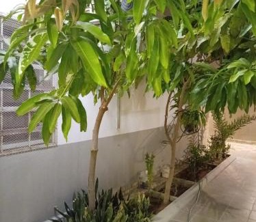 Rayyis Apartment | نسيم لافا