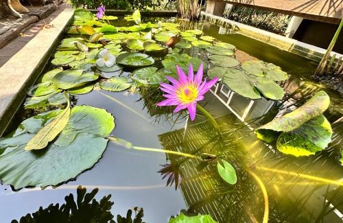 Koh Lan Hotel | บ้านชวนชมเกาะล้าน