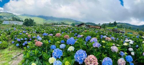 Doi Lo House | รักเขาอินทนนท์โฮมสเตย์ Doi inthanon Homestay