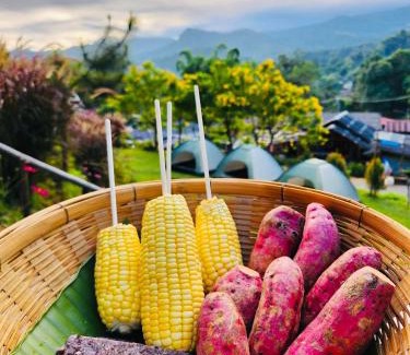 Doi Lo House | รักเขาอินทนนท์โฮมสเตย์ Doi inthanon Homestay