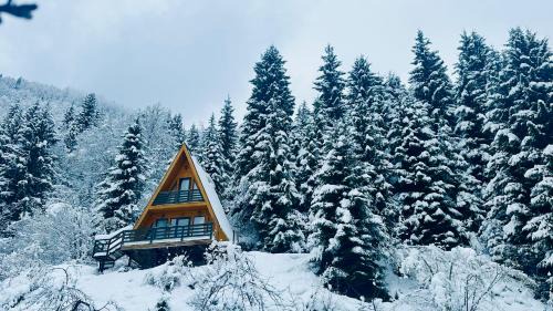 Lentekhi House | ლენტეხის მთის სასტუმრო - Lentekhi Mountain Inn