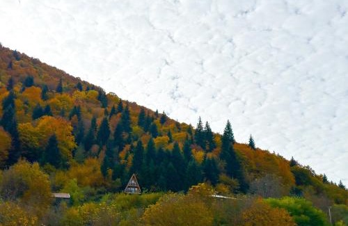 Lentekhi House | ლენტეხის მთის სასტუმრო - Lentekhi Mountain Inn