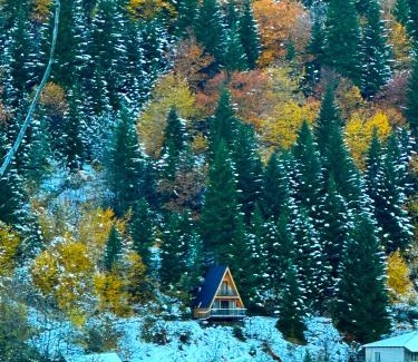Lentekhi House | ლენტეხის მთის სასტუმრო - Lentekhi Mountain Inn