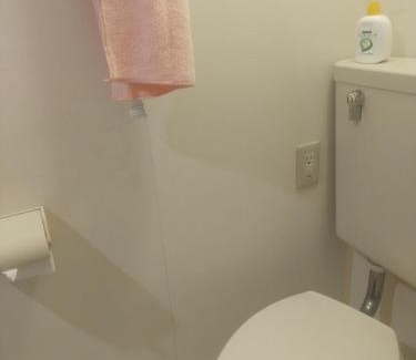 Higashi Ward Apartment | プロスパー泉30