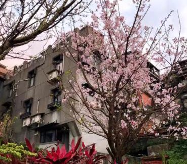 Ruifang House | 九份歲月靜好民宿Good Time