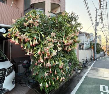 Shinjuku Apartment | 新宿の家-畳み3部屋 Maison à Shinjuku - pedalmi chambre 3 personnes 106
