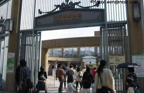 Abeno Apartment | 花跡民宿三号情侣房，家庭房，独享空间 ! 4分钟到难波，日本桥，心斋桥！