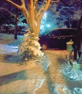 Nagano Apartment | 貸切別荘Madoyaのお宿 Loiseau bleu Iizuna
