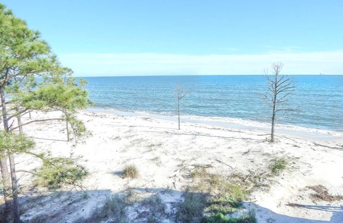Dauphin Island Condo | 002 Sandcastle 6C