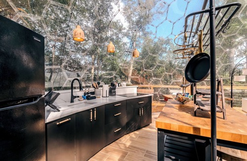 Mars Hill Cabin | 1 of a Kind! Largest Luxurious TRANSPARENT DOME in USA