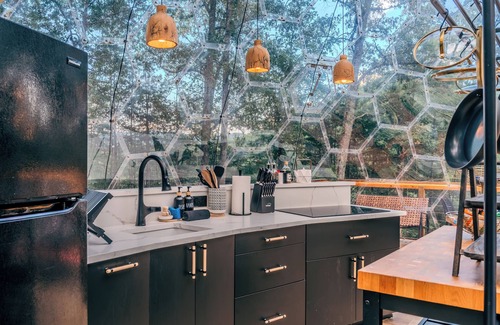 Mars Hill Cabin | 1 of a Kind! Largest Luxurious TRANSPARENT DOME in USA