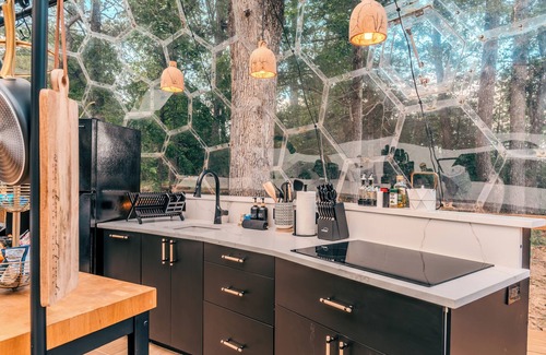 Mars Hill Cabin | 1 of a Kind! Largest Luxurious TRANSPARENT DOME in USA