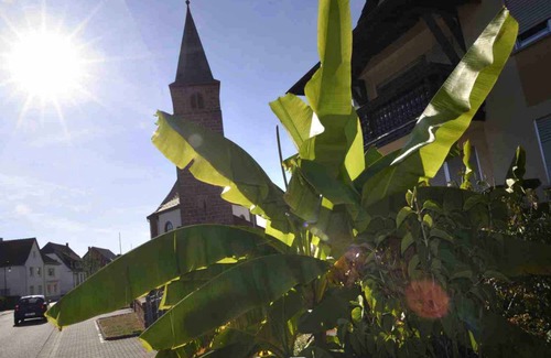 Fischbach bei Dahn Apartment | 140 m² Apartment ∙ 2 bedrooms ∙ 4 guests
