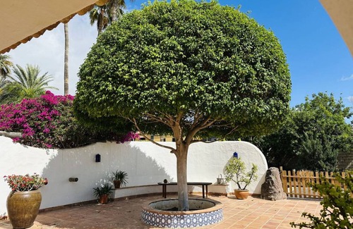 Costa Adeje Other | 159 m² Accommodation ∙ 2 bedrooms ∙ 5 guests