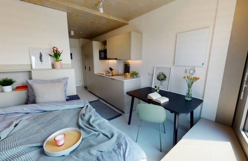 Kaisermuhlen Apartment | 17 m² Apartment ∙ 1 guest