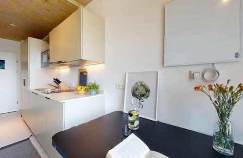Kaisermuhlen Apartment | 17 m² Apartment ∙ 1 guest
