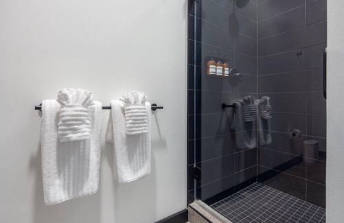 University City Apartment | 17 m² Apartment ∙ 1 bedroom ∙ 2 guests