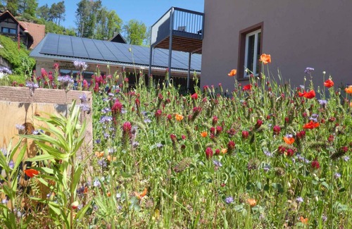 Fischbach bei Dahn Apartment | 180 m² Apartment ∙ 4 bedrooms ∙ 8 guests