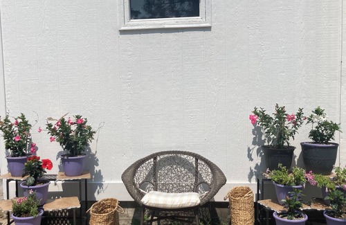 Little Falls House | 1888 Gem in Original L.Falls- 3BR,1BA Cozy Modern Vibes, WiFi, Pet Friendly Yard