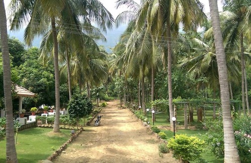 Chittur Resort | 19 m² Private room ∙ 1 bedroom ∙ 2 guests