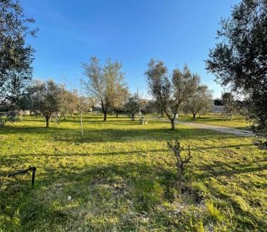 Nardo Villa | 19th century Trullo Raeda in the middle of nature