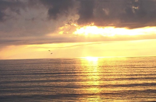 Bostroms Resort | 1BR at Oceanfront Resort w/ Pool, Beach, Free WiFi & Near Attractions!
