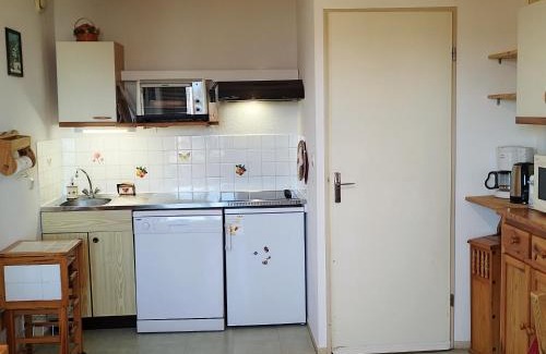 Prapoutel Apartment | 2 Pièces RDC aux Adrets - Proche pistes et commerces - FR-1-771-52