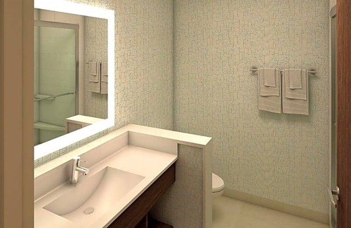 University Place Hotel | 2-Star Hotel ∙ Holiday Inn Express & Suites - Charlotte NE - University Area, an IHG Hotel