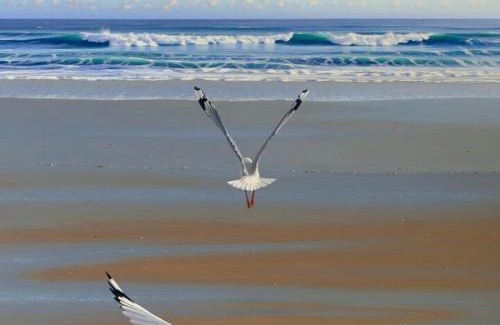 Yzerfontein Apartment | 21 ON BAKOOND