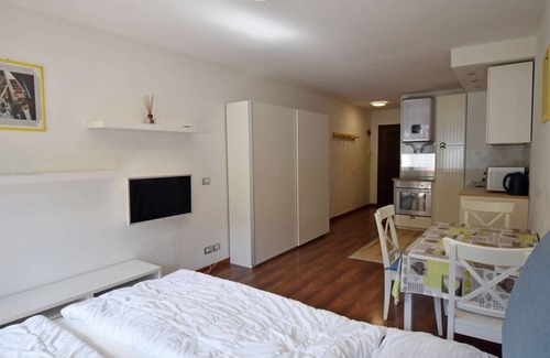 Madonna di Campiglio Apartment | 25 m² Studio flat ∙ 2 guests