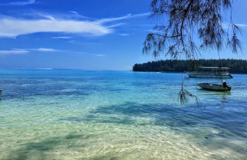 Moorea-Maiao Apartment | 2500 m² Apartment ∙ 1 bedroom ∙ 4 guests