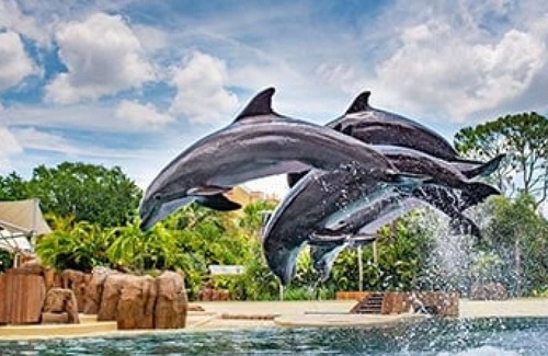 Celebration Hotel | 2BR Pool View Suite Near Walt Disney World Resort