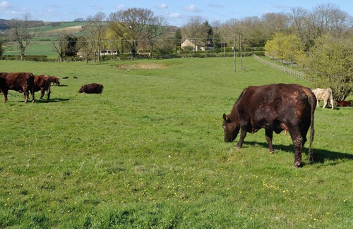 Tetford Cottage | 3 bedroom accommodation in Tetford, near Horncastle
