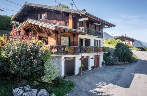 Morzine Apartment | 30 m² Apartment ∙ 1 bedroom ∙ 3 guests
