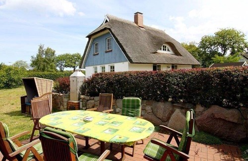 Wieck auf dem Darss Apartment | 31 m² Apartment ∙ 1 bedroom ∙ 3 guests