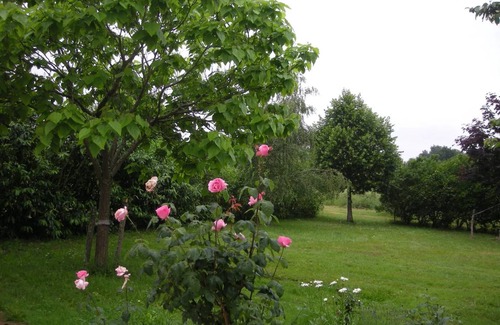 Argenton-sur-Creuse House | 310 m² House ∙ 6 bedrooms ∙ 12 guests