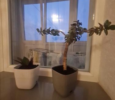 Lutsk Apartment | 4 Кімнатні Апартаменти в Центрі, вул Незалежності, 5