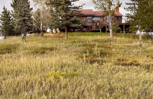 Carbondale House | 4-bedroom get away with large kitchen, patio and backyard