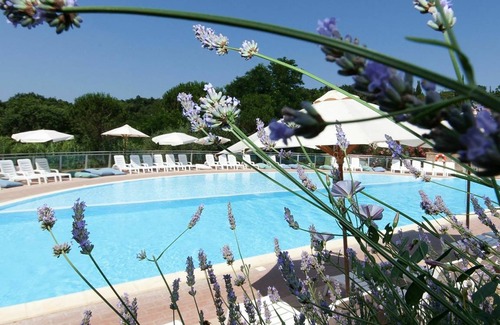 Guardistallo Other | 40 m² Accommodation ∙ 1 bedroom ∙ 4 guests