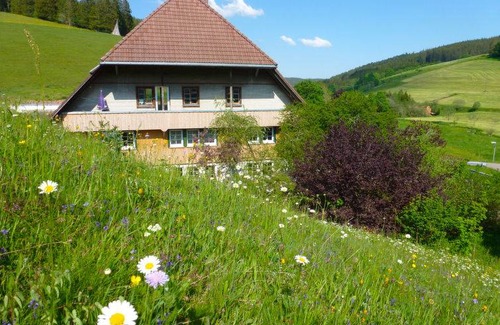 Voehrenbach House | 45 m² Farmhouse ∙ 1 bedroom ∙ 3 guests