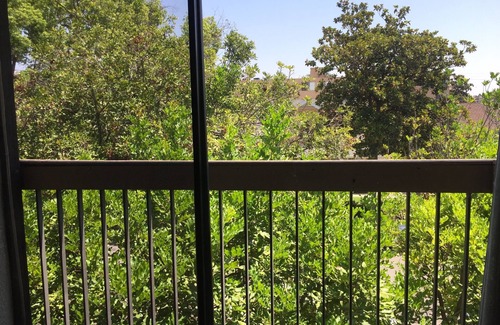 Downtown Apartment | 5. Outstanding Apt 2-bd, 2Bath, Tree-top views