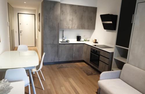 Lugano Apartment | 5 Rent Apartments Lugano Station