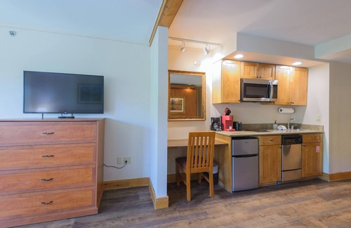 Crested Butte Condo | 515 π Slopeside Condo in Mt. Crested Butte