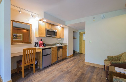 Crested Butte Condo | 515 π Slopeside Condo in Mt. Crested Butte