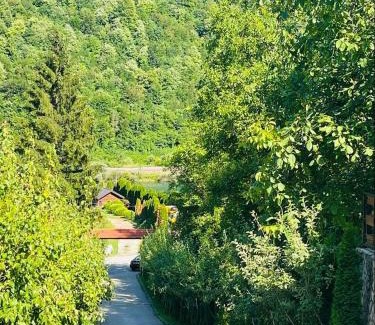 Mali Radic Apartment | 6 New River View Apartments