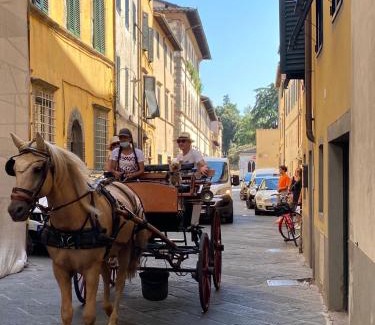 Lucca Historical Center Apartment | 6 Via della Rosa