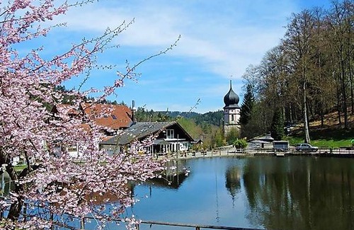 Triberg im Schwarzwald Apartment | 65 m² Apartment ∙ 2 bedrooms ∙ 4 guests