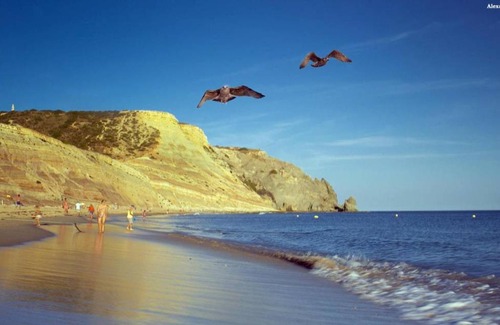 Praia da Luz Apartment | 70 m² Apartment ∙ 2 bedrooms ∙ 4 guests